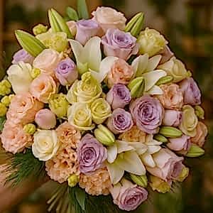  Burdur Çiçekçiler - Lilyum & Kazablanka