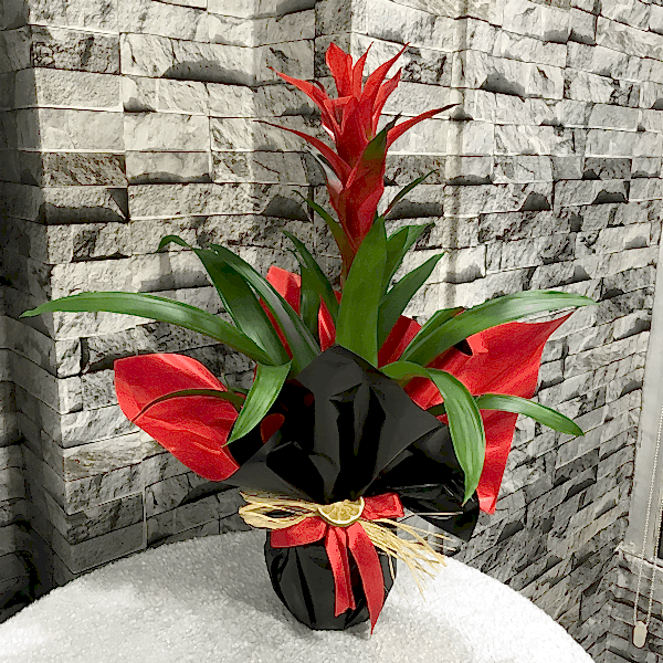  Burdur Çiçek Siparişi - GUZMANYA 