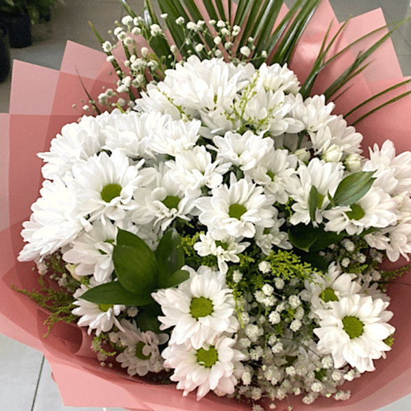  Burdur Çiçekçiler - BEYAZ PAPATYA 