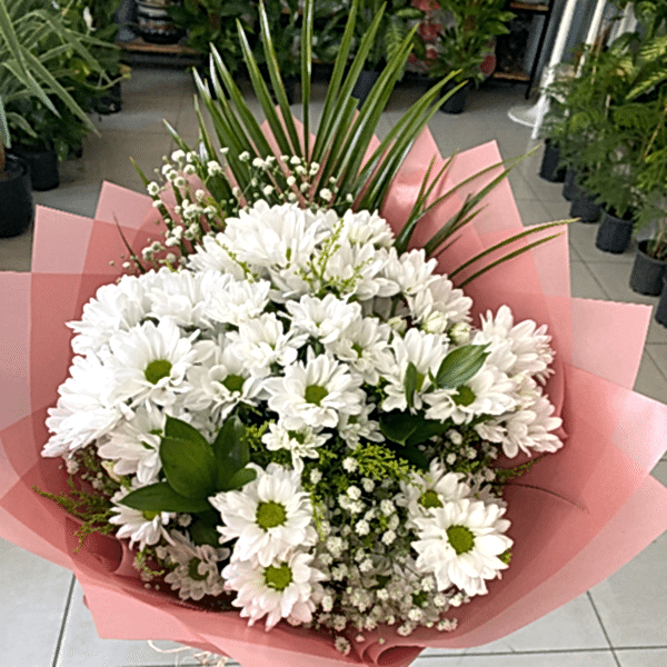  Burdur Çiçek - BEYAZ PAPATYA 