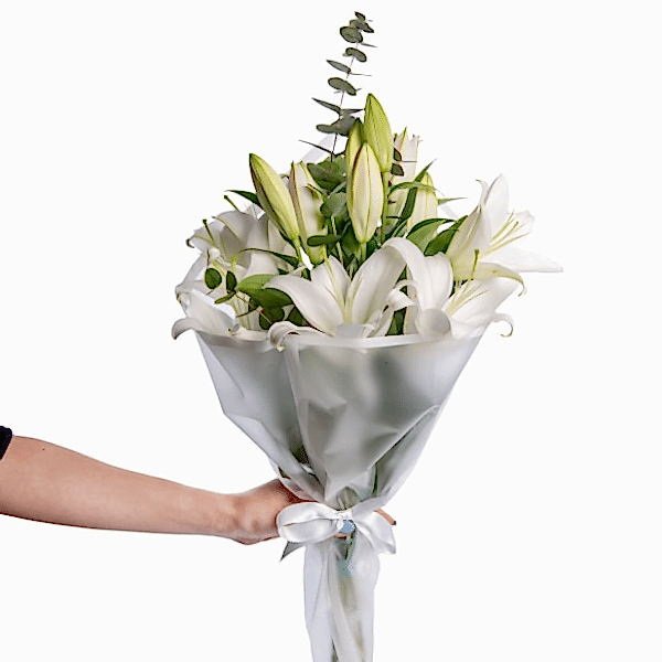  Burdur Çiçek - KAZABILANKA ve CİPSO 