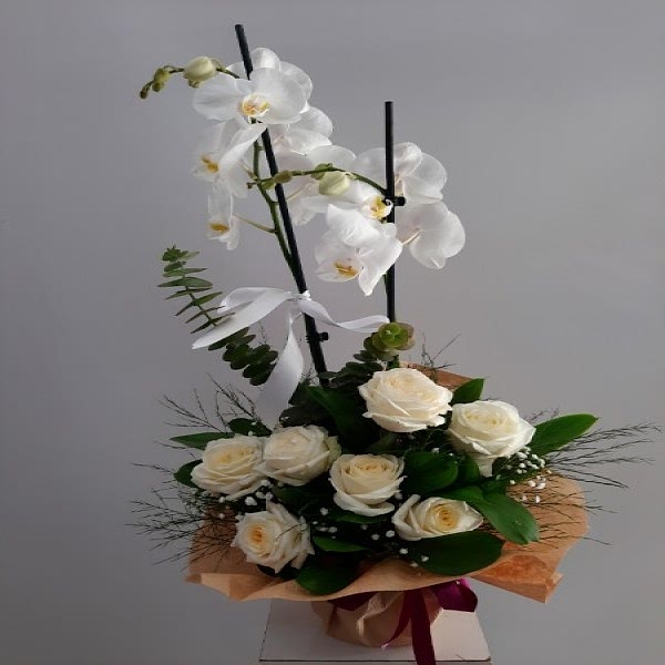  Burdur Çiçek - beyaz gül ve beyaz orkide arajmanı ve aynı zamanda gül renkleri kırmızı ,pembe,beyaz renkler ile de 