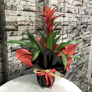  Burdur Çiçek Siparişi - MOR ORKİDE