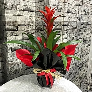  Burdur Çiçek Gönder - MOR ORKİDE