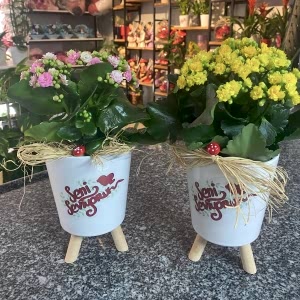  Burdur Çiçek Gönder - KALANŞO