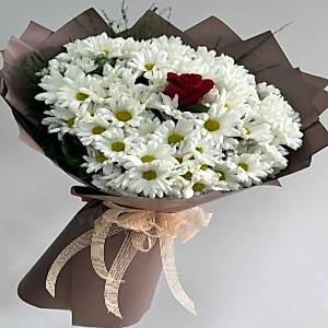  Burdur Çiçek - BEYAZ PAPATYA TEK GÜL