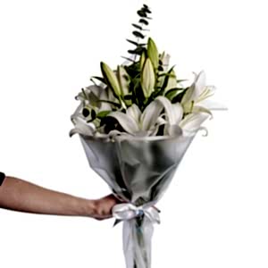  Burdur Çiçek - KAZABILANKA ve CİPSO 