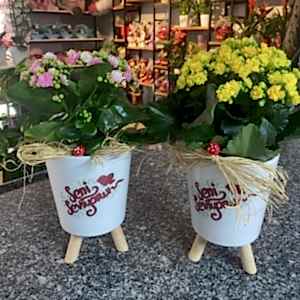 Burdur Çiçekçi - KALANŞO